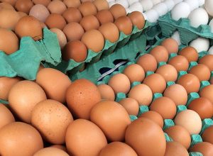 mg-descarta-preventivamente-450-toneladas-de-ovos-ferteis-vindos-do-rs