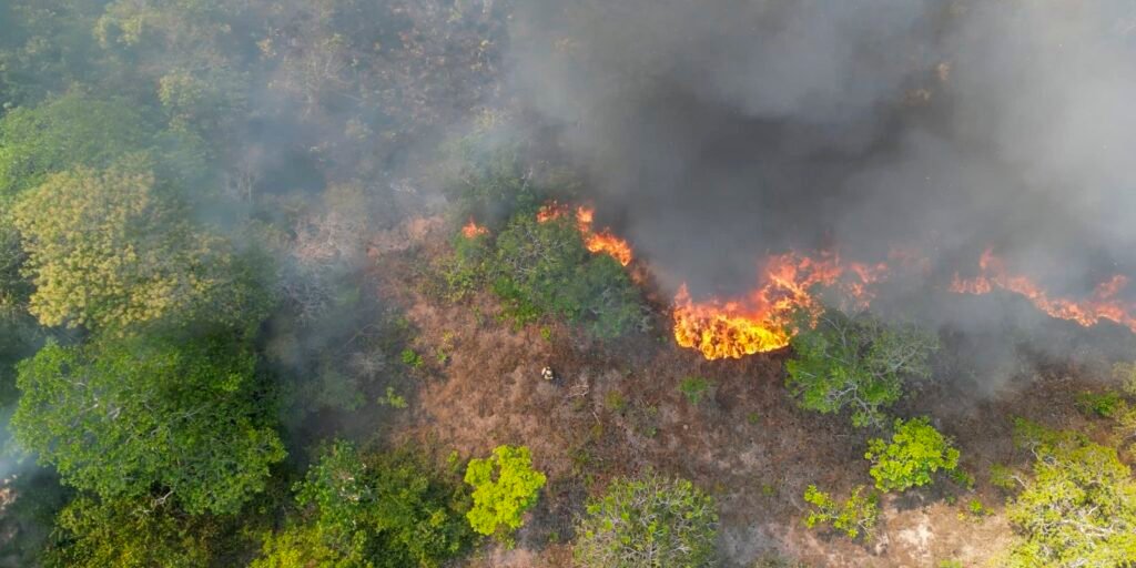arco-da-restauracao-no-am-vai-receber-projetos-de-reparacao-ecologica